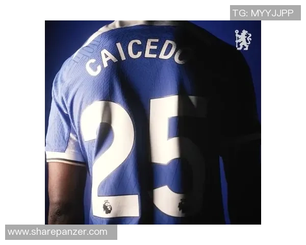 穿着25号球衣的足球明星盘点及其职业生涯成就分析 穿着25号球衣的足球明星盘点及其职业生涯成就分析